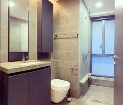 Skysuites@Anson (D2), Apartment #420738771